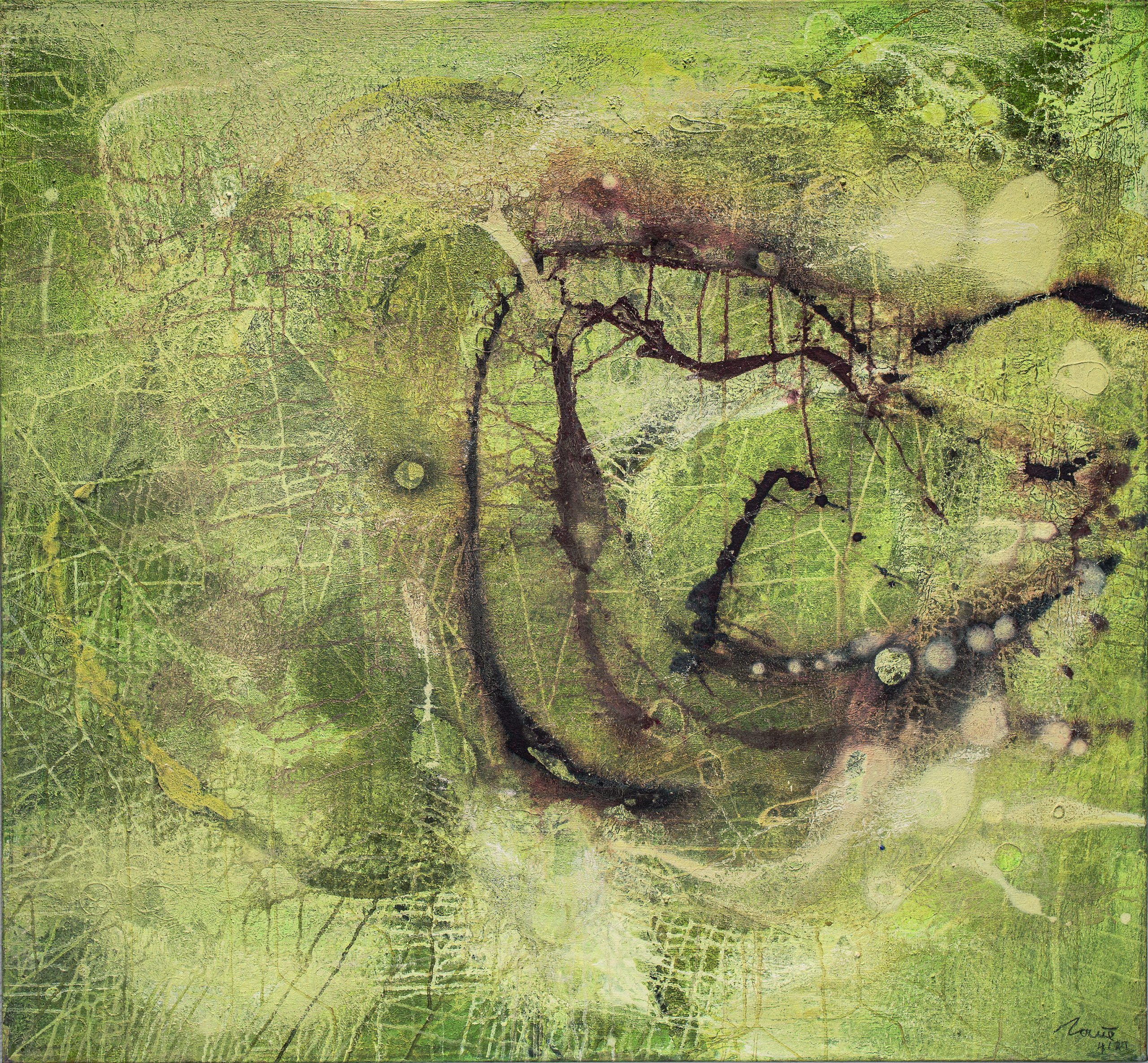 Plankton